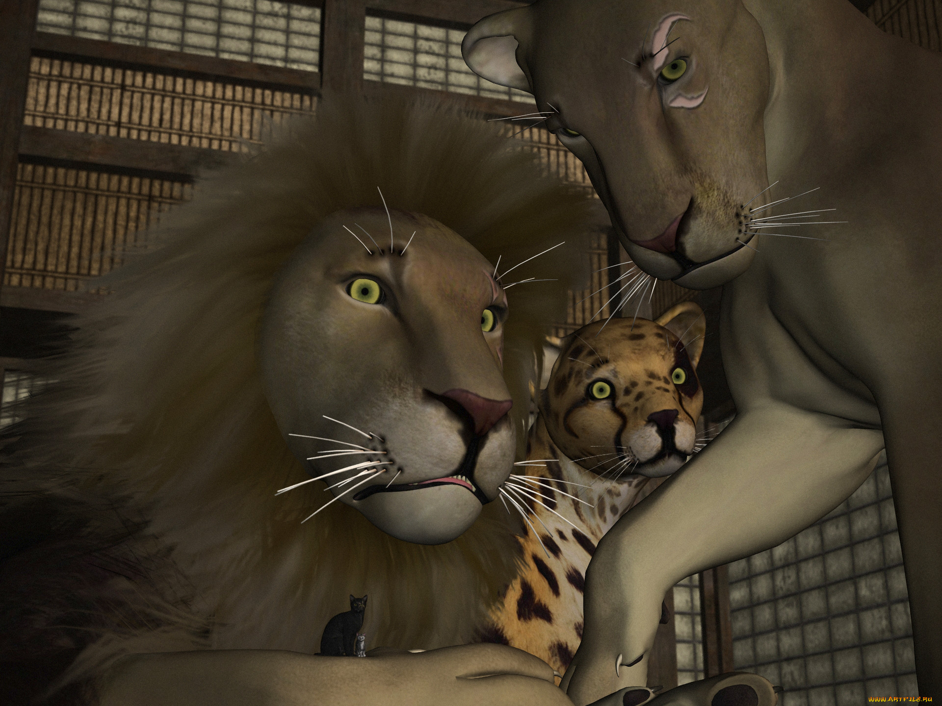 3 ,  , animals, , , 